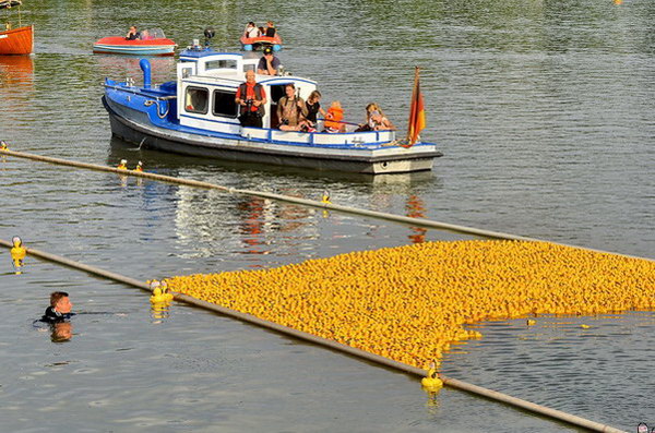 Maschsee13   725.jpg